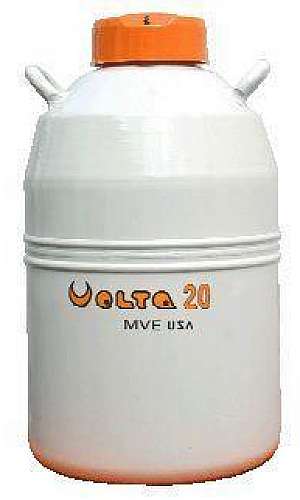 Nitrogênio líquido Nitrogênio líquido